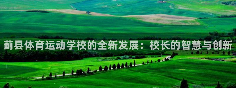 风速体育下载