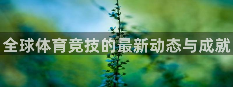 风速体育