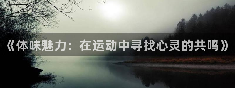 风速体育官网