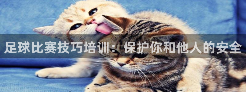 风速体育