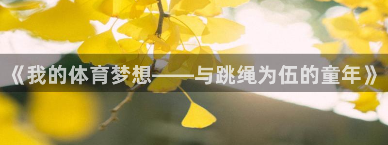 风速体育app下载安装最新版本