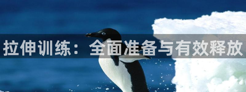 下载风速体育